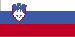 slovenian Nevada - State Name (Branch) (page 1)